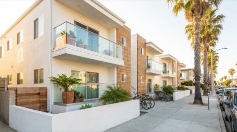 A row of modern apartment buildings in Venice with palm-lined sidewalks