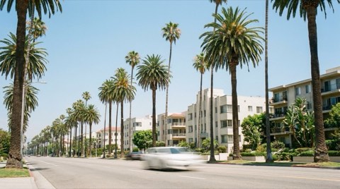 A wide daytime view of a palm-lined multi-lane boulevard with tall stately palm trees stretching toward mid-rise buildings under a clear sky