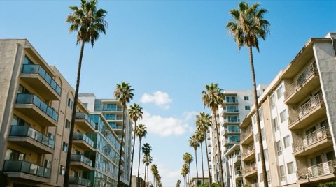 Mid-century and modern mid-rise condominium and apartment buildings with balconies along a wide, palm-lined Los Angeles boulevard under a bright blue sky.