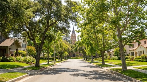 A quiet, tree-shaded residential street with well-kept older homes and a distant collegiate clock tower faintly visible through the leaves