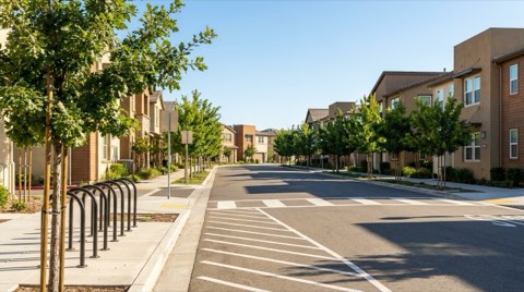 A tree-lined residential street near a school zone with a crosswalk and empty bike racks under bright morning light.