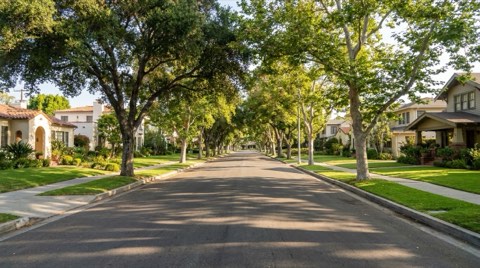 A quiet, tree-lined residential street of older single-family homes near a university campus, bathed in soft early morning light.