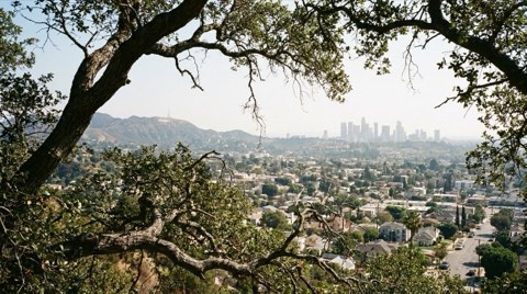 A hillside view from Los Feliz toward the distant Hollywood ridge and hazy downtown Los Angeles skyline