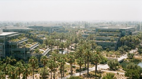 A modern office campus with palm trees near Mar Vista, representing nearby job hubs