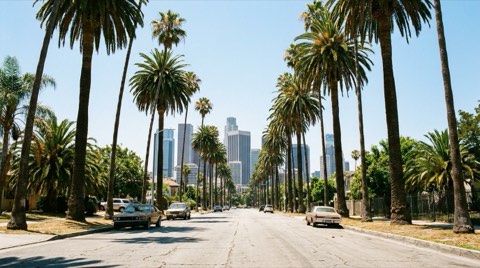 A street-level view toward a distant cluster of office towers on the horizon, framed by palm trees in clear midday light