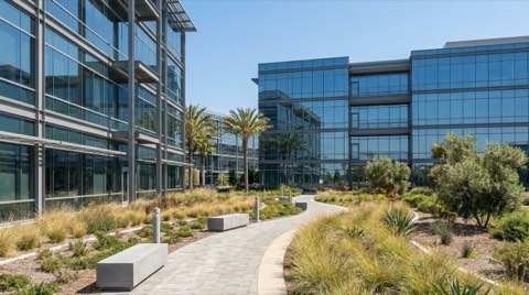 A modern glass-and-steel office campus building seen from a landscaped walkway lined with grasses under bright daylight.