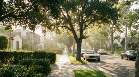 A tree-lined residential sidewalk with dappled morning sunlight and parked cars in soft focus