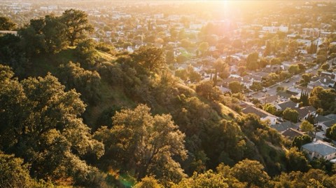 A golden hour view of Griffith Park's hillside above Los Feliz rooftops nestled among trees