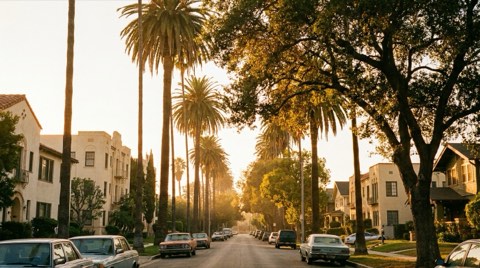 A picturesque tree-lined street at golden hour with palm trees and a mix of historic apartment buildings and homes