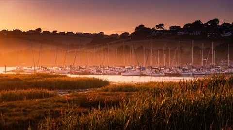 A vivid golden sunset over a marina with sailboats and wetlands marsh grasses in the foreground