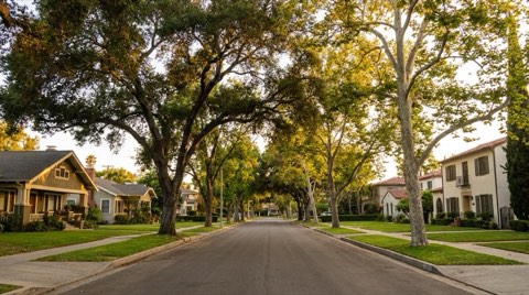 A charming tree-lined residential street with classic traditional homes at golden hour.
