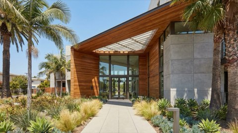 A welcoming modern condo building entrance with clean glass doors and landscaped greenery in bright daylight.